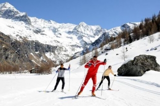  Cross -esquí de fondo 